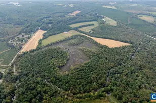 17611 Rogers Clark Blvd, Milford, VA 22514 - Photo 13