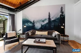 163 Mountain Inn Condos, Wintergreen Resort, VA 22967 - Photo 3