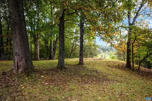 477 Gidsville Rd, Amherst, VA 24521 - Photo 71