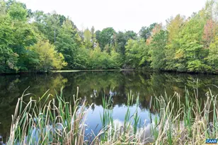 884 Pleasant Gap Dr, Dry Fork, VA 24549 - Photo 65