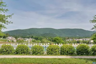 12 Larkin Ln, Crozet, VA 22932 - Photo 27