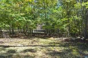 16070 Burnley Rd, Barboursville, VA 22923 - Photo 33