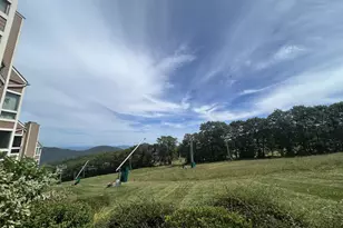 905 Diamond Hill Condos, Wintergreen, VA 22967 - Photo 5