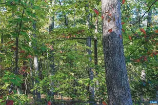 6308 Jefferson Mill Rd, Scottsville, VA 24590 - Photo 33