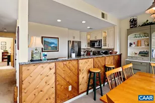 1641 Overlook Condos, Wintergreen, VA 22967 - Photo 13