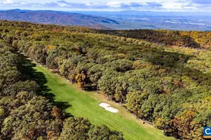 1641 Overlook Condos, Wintergreen, VA 22967 - Photo 33