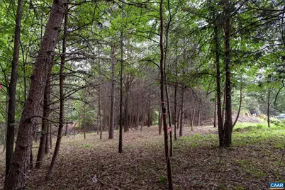 242 Palmer Pl, Ruckersville, VA 22968 - Photo 61