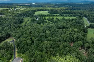 242 Palmer Pl, Ruckersville, VA 22968 - Photo 57