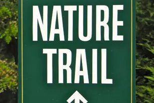 1132 Courtyard Dr, Charlottesville, VA 22903 - Photo 39