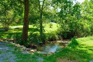 4375 Taylor Creek Rd, Afton, VA 22920 - Photo 67