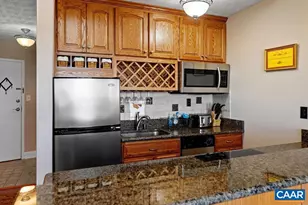 255 Timbers Condos, Wintergreen Resort, VA 22967 - Photo 9