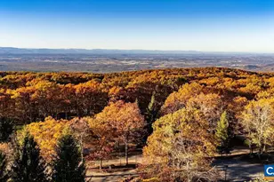 15 Shenandoah Ridge Ct, Wintergreen Resort, VA 22967 - Photo 47