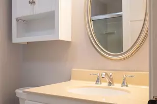 253 E Jefferson St, Charlottesville, VA 22902 - Photo 11