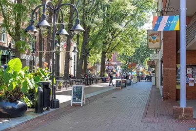 253 East Jefferson St, Charlottesville, VA 22902 - Photo 25