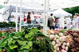 253 E Jefferson St, Charlottesville, VA 22902 - Photo 35