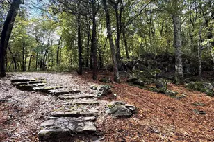 20 Buck Horn Ln, Wintergreen Resort, VA 22967 - Photo 39