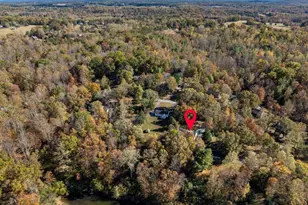 736 Jonquil Rd, Ruckersville, VA 22968 - Photo 29