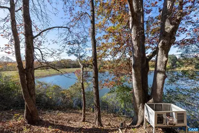 736 Jonquil Rd, Ruckersville, VA 22968 - Photo 33