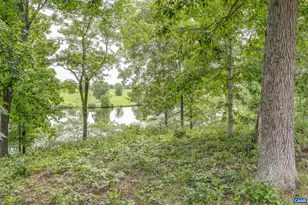 4798 Barn Field Dr, Keswick, VA 22947 - Photo 73