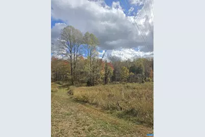 Lot C Sycamore Ln, Ruckersville, VA 22968 - Photo 1