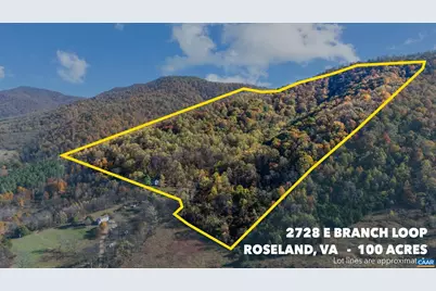 2728 East Branch Loop, Roseland, VA 22967 - Photo 41
