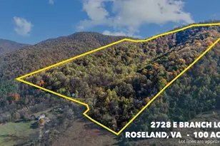 2728 E Branch Loop, Roseland, VA 22967 - Photo 41
