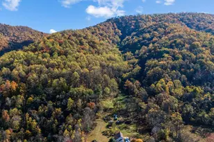 2728 E Branch Loop, Roseland, VA 22967 - Photo 31