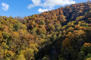 2728 E Branch Loop, Roseland, VA 22967 - Photo 37