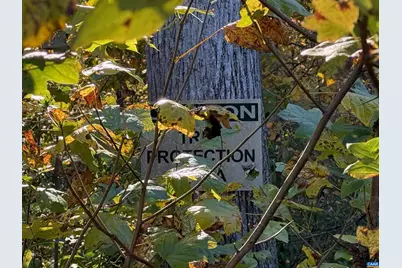 5227 Sparrow Hill Ln, Charlottesville, VA 22903 - Photo 33