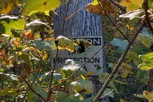 5227 Sparrow Hill Ln, Charlottesville, VA 22903 - Photo 33