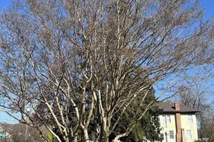 1227 Blue Ridge Ave, Crozet, VA 22932 - Photo 13