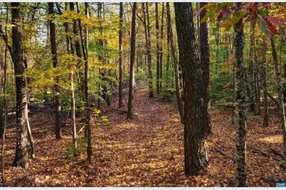 Lot B Link Evans Ln, Earlysville, VA 22936 - Photo 5