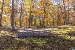 4802 Mechunk Rd, Keswick, VA 22947 - Photo 9