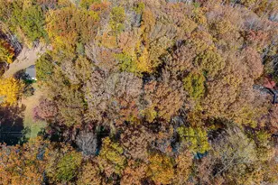 4802 Mechunk Rd, Keswick, VA 22947 - Photo 47