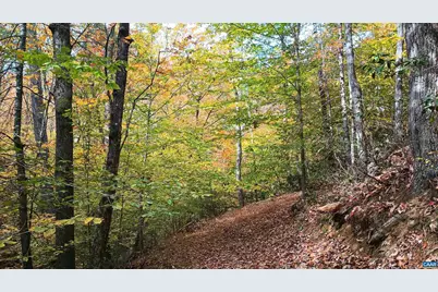 125 River Breeze Ct, Howardsville, VA 24562 - Photo 51