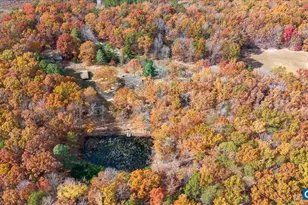 391 Pond Rd, Buckingham, VA 23921 - Photo 31