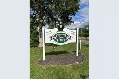 48 Meadow Ln, Nellysford, VA 22958 - Photo 45