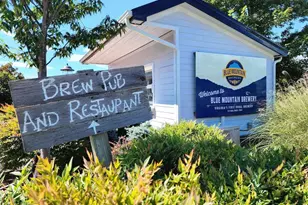 48 Meadow Ln, Nellysford, VA 22958 - Photo 47