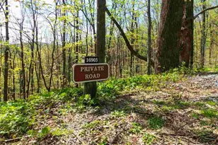 16903 Blue Ridge Pkwy, Lyndhurst, VA 22952 - Photo 7