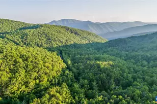 16903 Blue Ridge Pkwy, Lyndhurst, VA 22952 - Photo 27