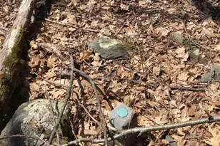 16903 Blue Ridge Pkwy, Lyndhurst, VA 22952 - Photo 19