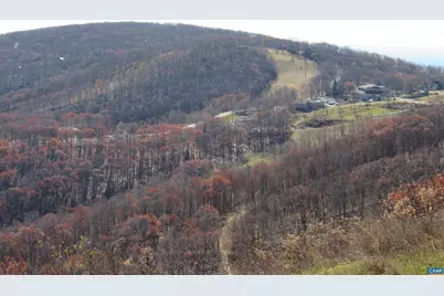 1635 Overlook Condos #1635, Wintergreen, VA 22967 - Photo 3