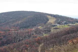 1635 Overlook Condos, Wintergreen, VA 22967 - Photo 3