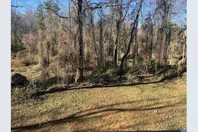 158 Buckingham Cir, Charlottesville, VA 22903 - Photo 7