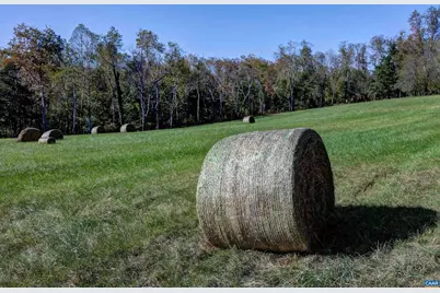 4710 Dickerson Rd, Charlottesville, VA 22911 - Photo 69