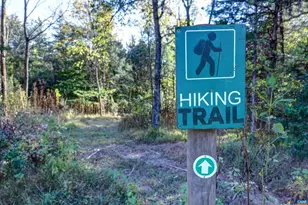 4710 Dickerson Rd, Charlottesville, VA 22911 - Photo 71