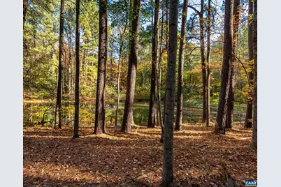 1190 Trillium Rd, Earlysville, VA 22936 - Photo 41