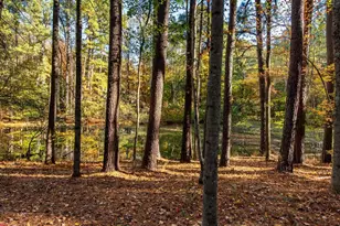 1190 Trillium Rd, Earlysville, VA 22936 - Photo 41