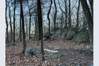 6696 Highlander Way, Crozet, VA 22932 - Photo 71