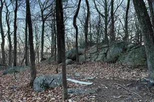 6696 Highlander Way, Crozet, VA 22932 - Photo 71